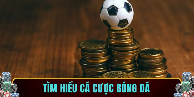 Tìm hiểu cá cược bóng đá
