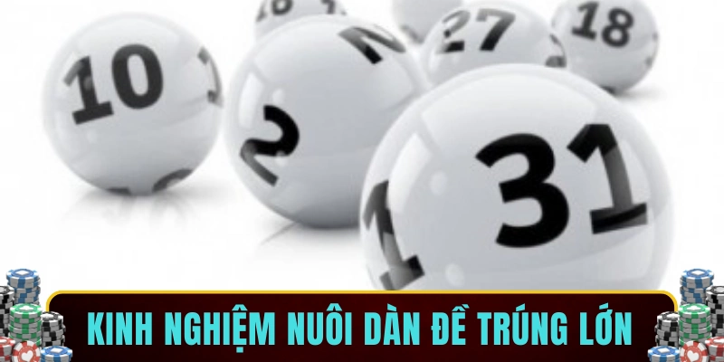 Kinh nghiệm nuôi dàn đề trúng lớn