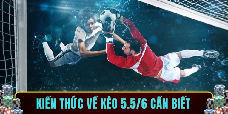 Kiến thức về kèo 5.5/6 cần biết