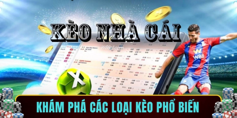Khám phá các loại kèo phổ biến