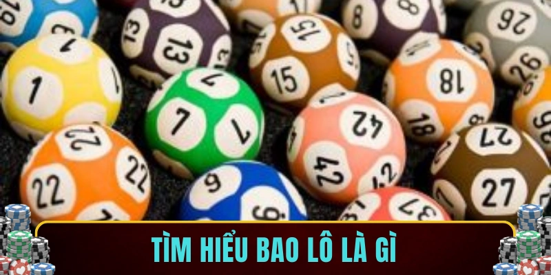 Tìm hiểu bao lô là gì