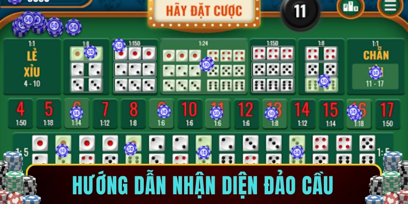 Hướng dẫn nhận diện đảo cầu