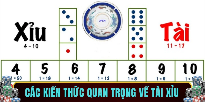Các kiến thức quan trọng về tài xỉu