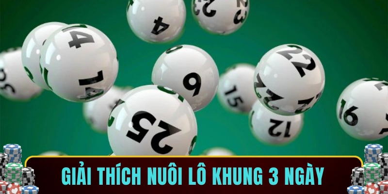 Giải thích nuôi lô khung 3 ngày