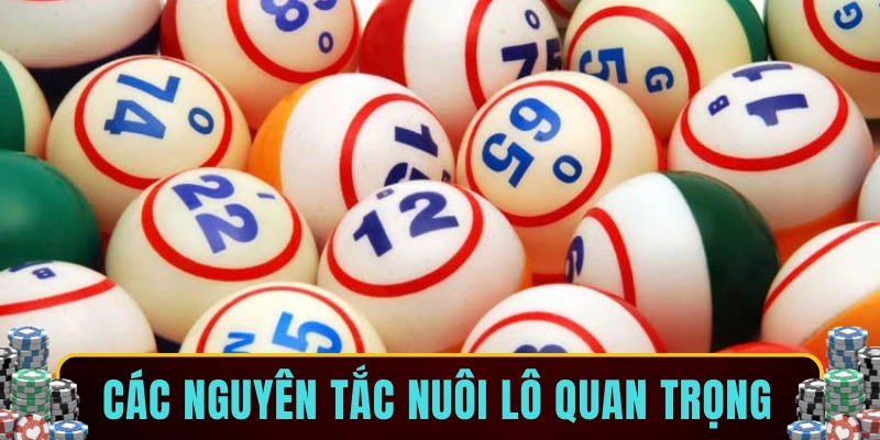 Các nguyên tắc nuôi lô quan trọng