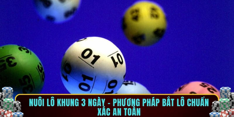 Nuôi lô khung 3 ngày